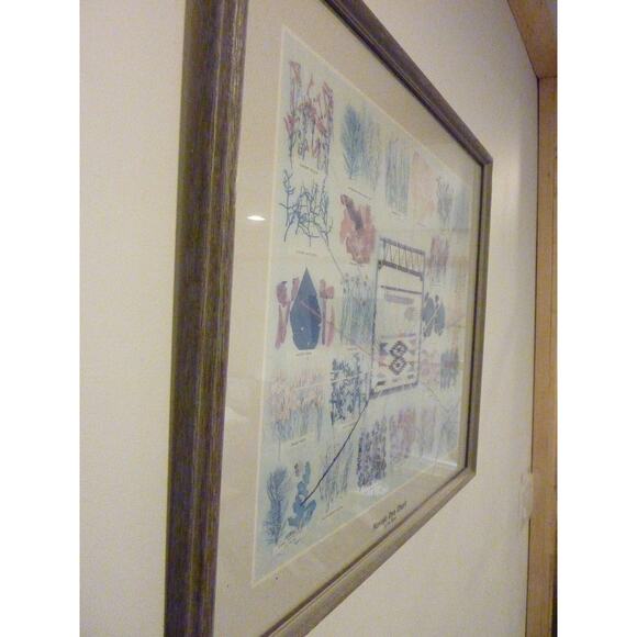 Vintage Framed Navajo Plant Dye Chart Print Ella Myers - Picture 9 of 9